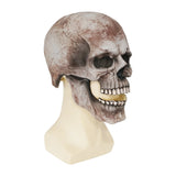 Skull Full Face Halloween Mask