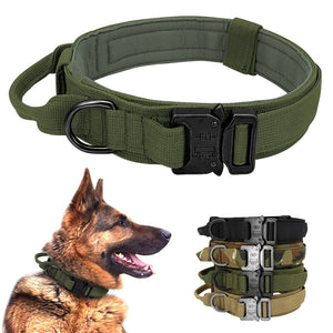 Large Tactical Dog Collar